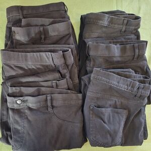Black Pants Collection